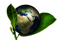 Green leaves holding Earth symbolizing environmental care